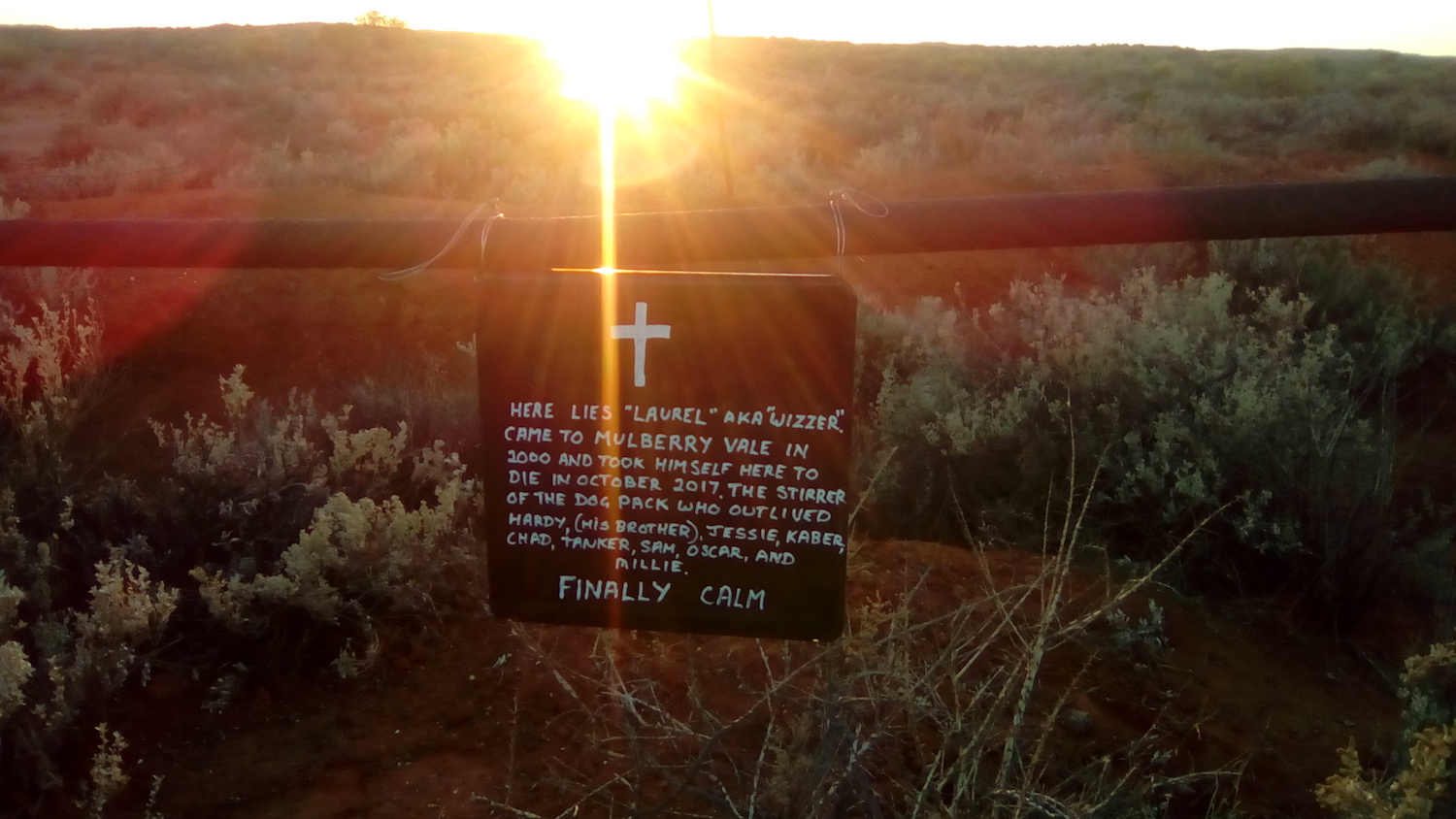 The sun rises over a scrubby hill, and shows a sign hanging off a fence. The sign reads: "Here lies 'Laurel' aka 'Wizzer'. Came to Mulberry Vale in 2000 and took himself here to dies in October 2017. The stirrer of the dog pack who outlived Hardy (his brother), Jessie, Kaber, Chad, Tanker, Sam, Oscar, and Millie. Finally calm."