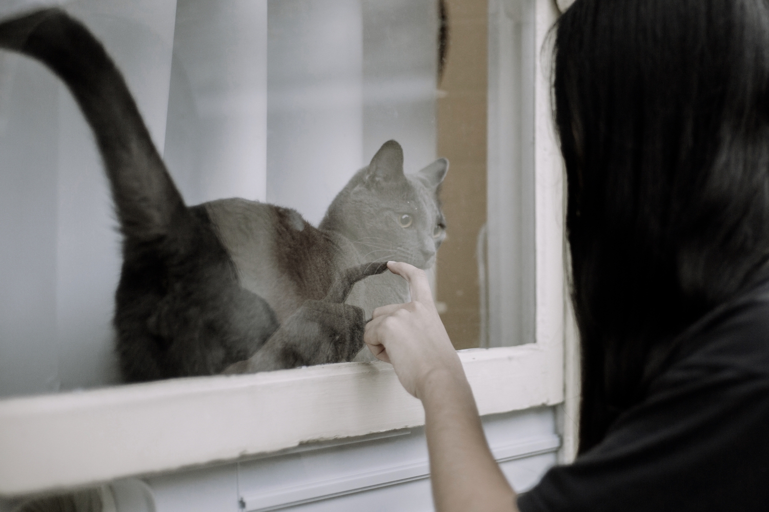 Stellar Leuna at home in Marrickville. Photography by Dakota Gordon