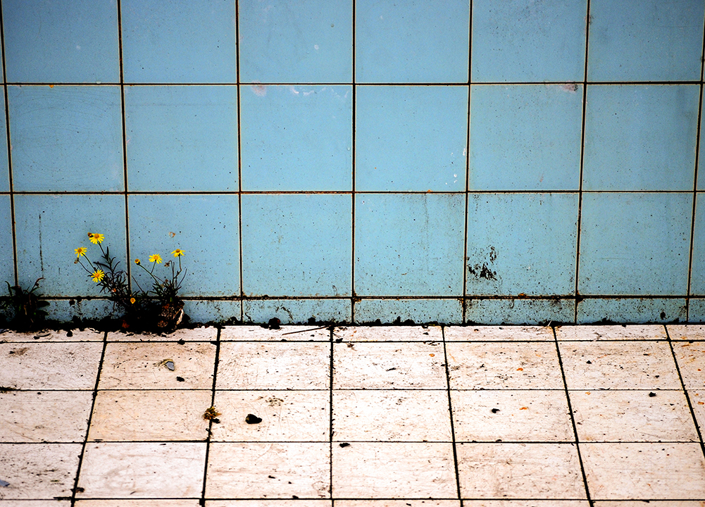 Prince Alfred Municipal Pool. Photography by Johnny Barker