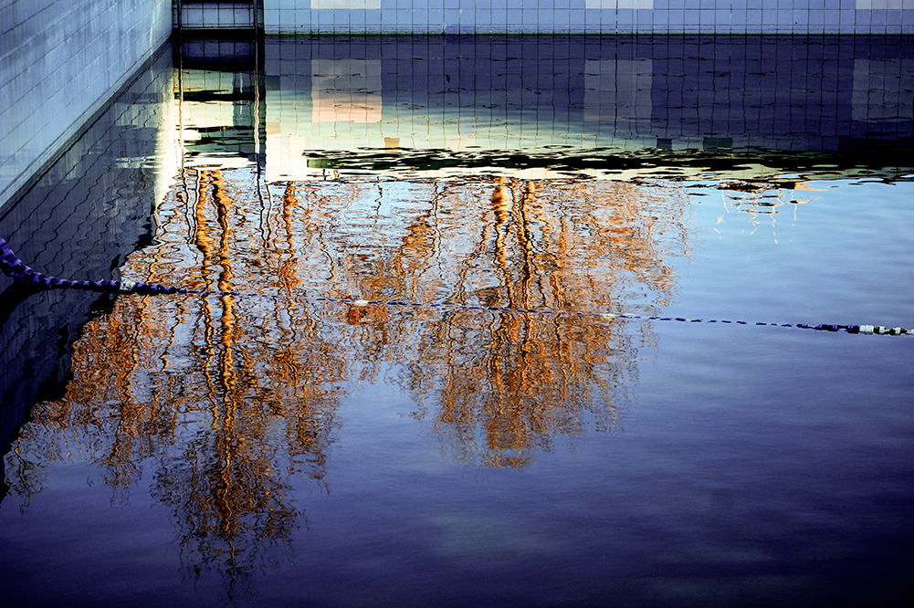 Prince Alfred Municipal Pool. Photography by Johnny Barker